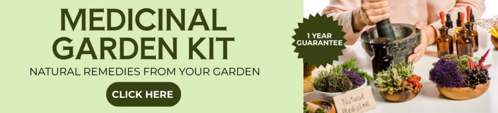 Medicinal Garden Kit Natural Remedies from your Garden