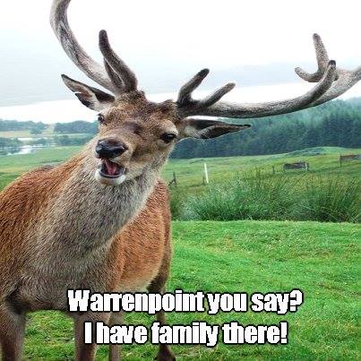 Irish Elk Warrenpoint